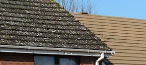 Gutter and roof cleaning in Canterbury and Whitstable